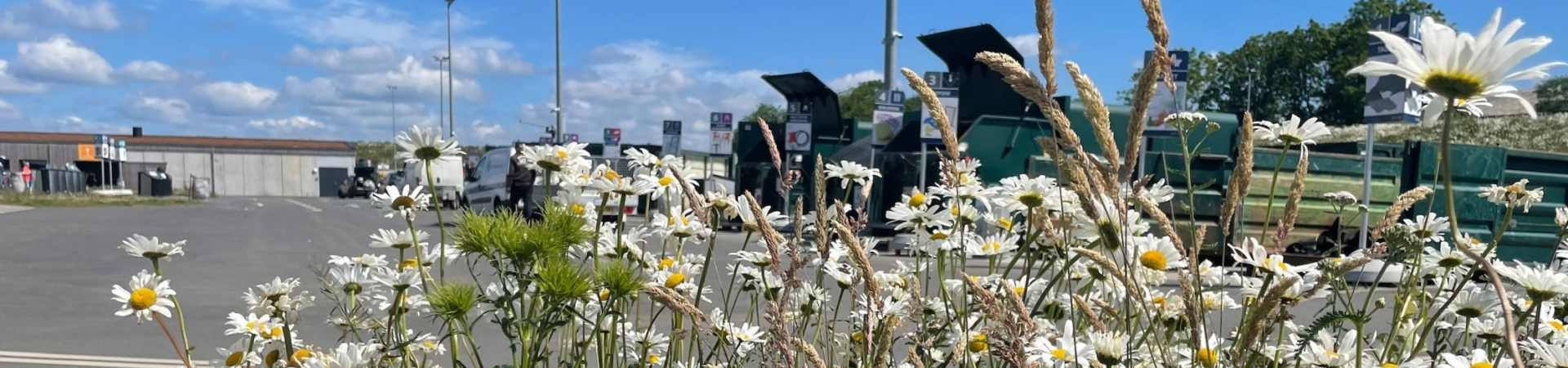 Blomster i forgrunden med grønne containere på genbrugspladsen i baggrunden. 